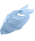 01198 Sky Blue Front