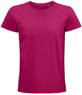 03565 Fuchsia Front