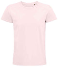 03565 Pale Pink Front