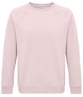 03567 Pale Pink Front
