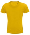 03578 Gold Front