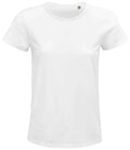 03581 White Front