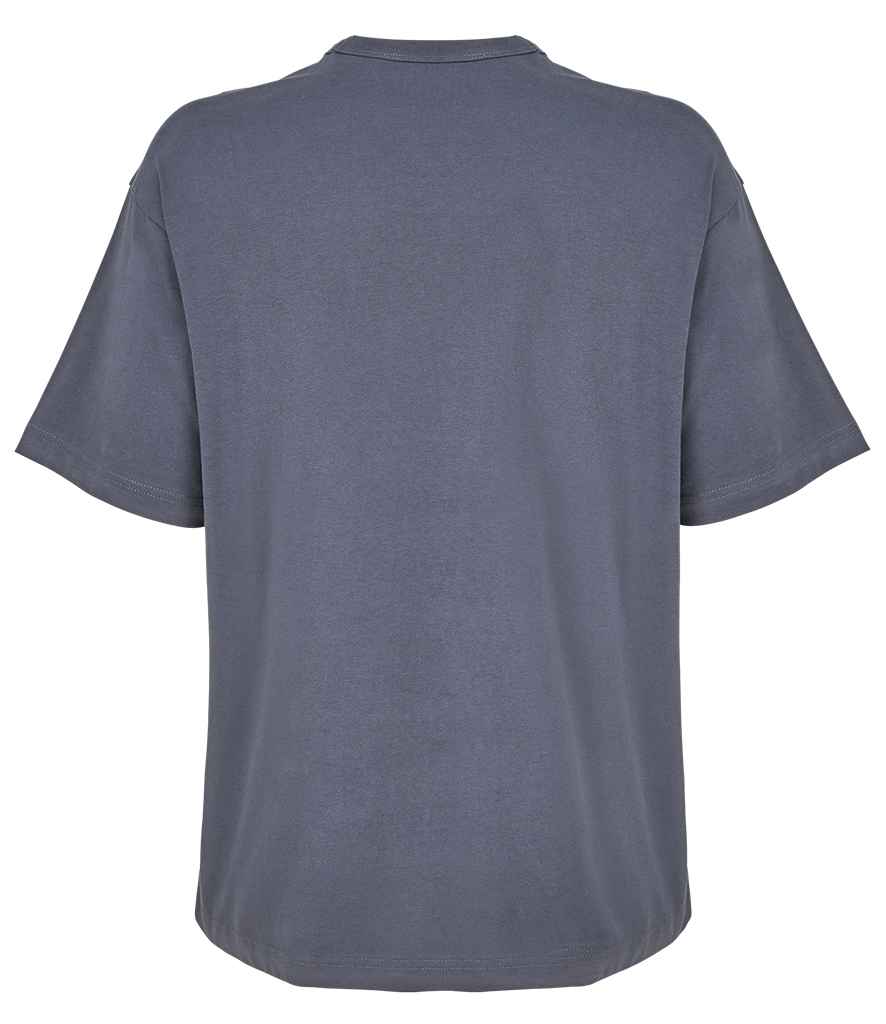 03806 Mouse Grey Back