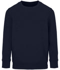 04239 French Navy Front