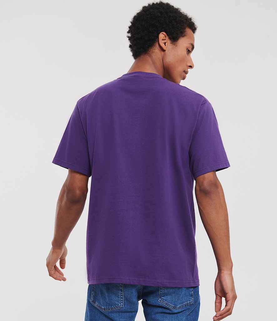 180M Purple Model