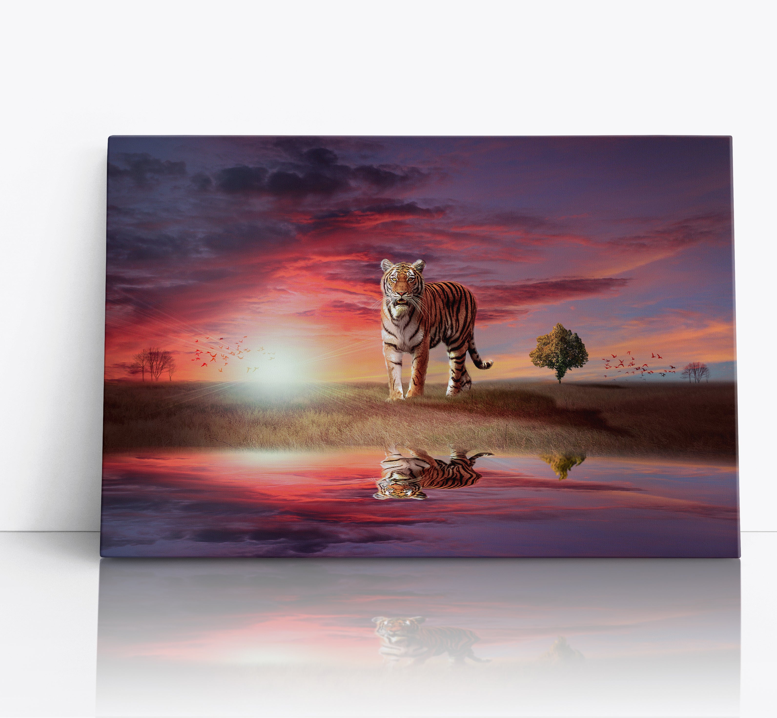 Tiger Big Cat In The Sunset Canvas Print Wall Art