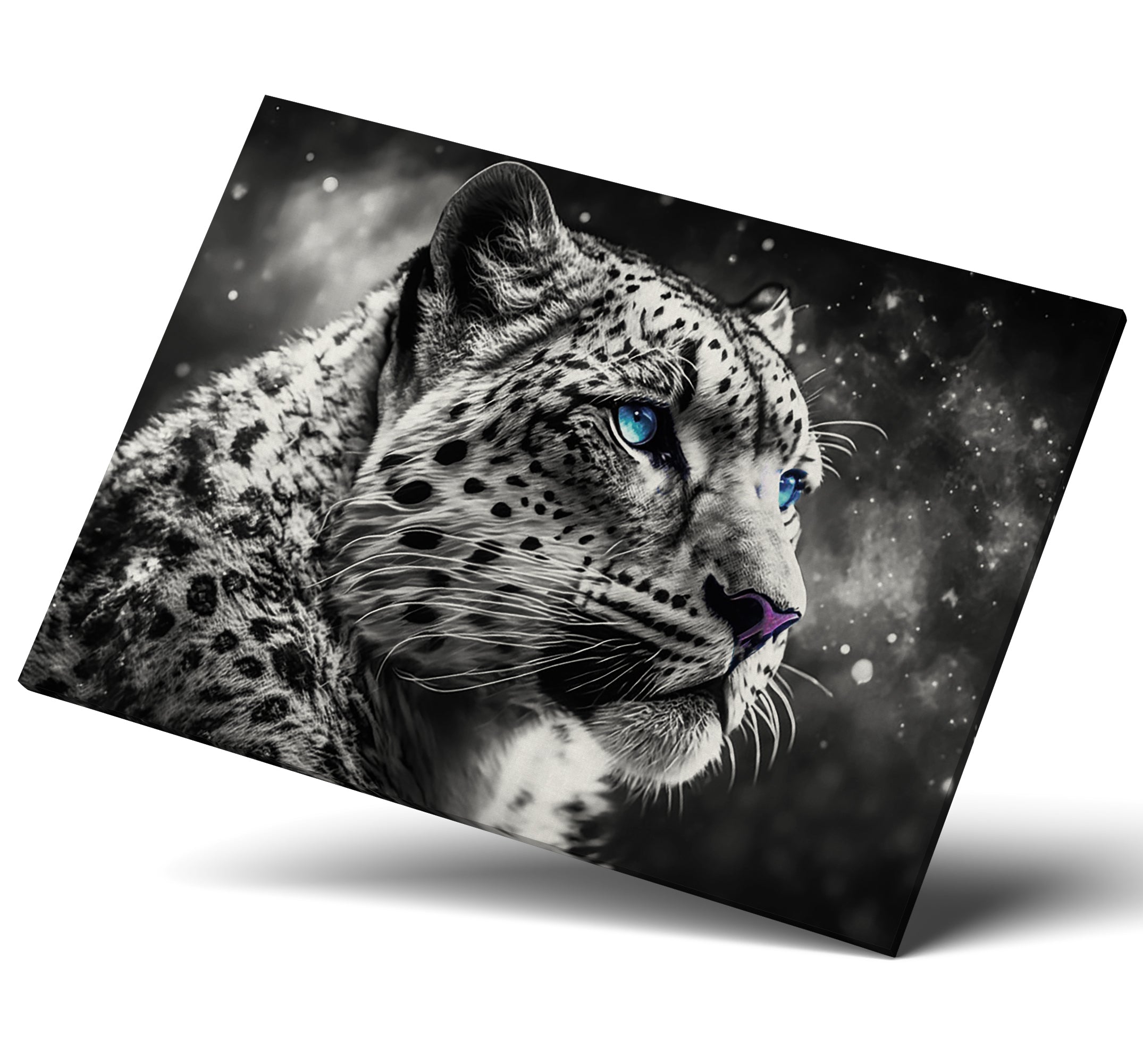 Black and White Big Cat Snow Leopard Face Wall Art Canvas Print