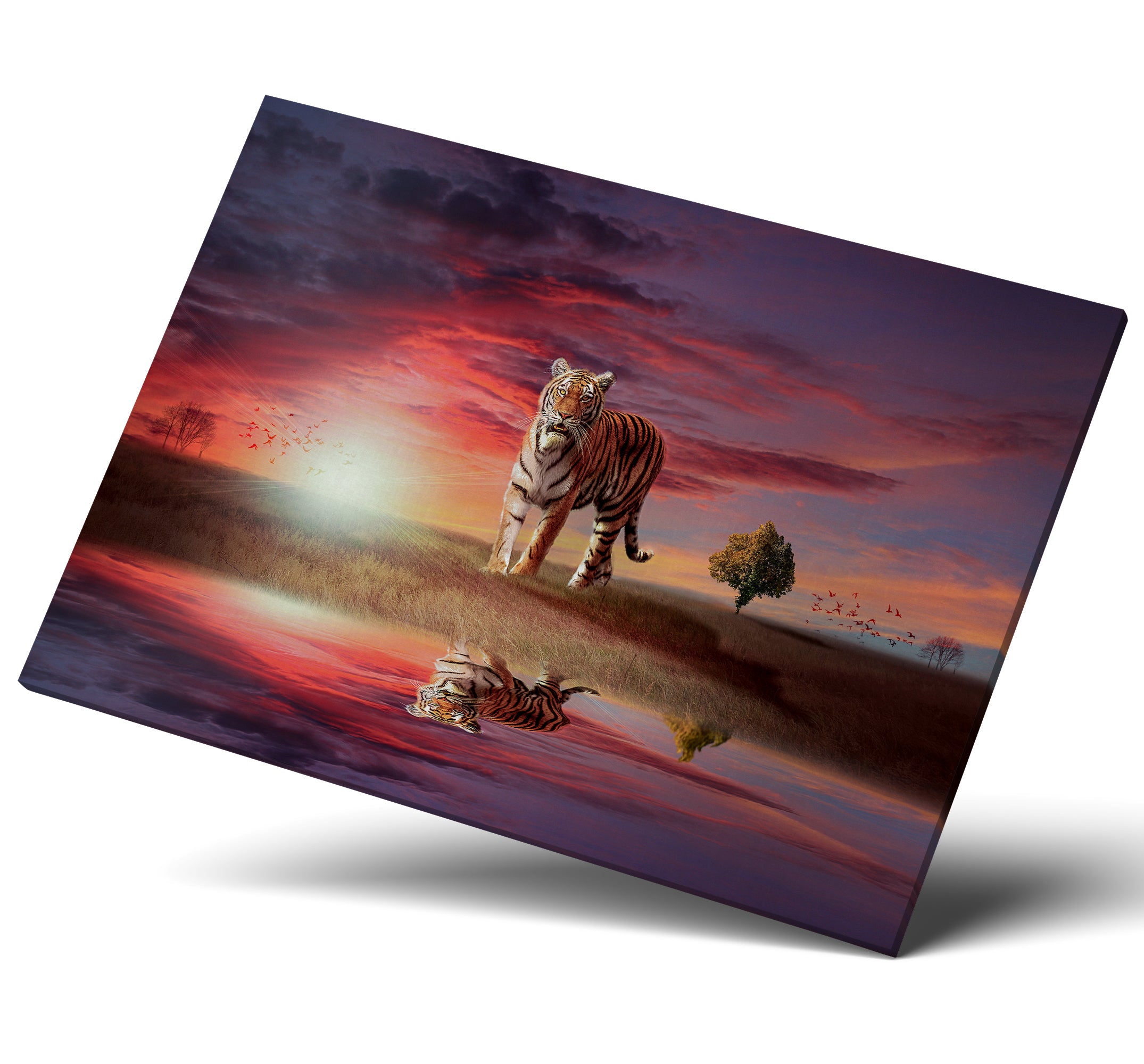 Tiger Big Cat In The Sunset Canvas Print Wall Art