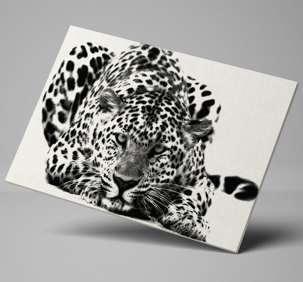 Black and White Big Cat Leopard Wall Art Canvas Print