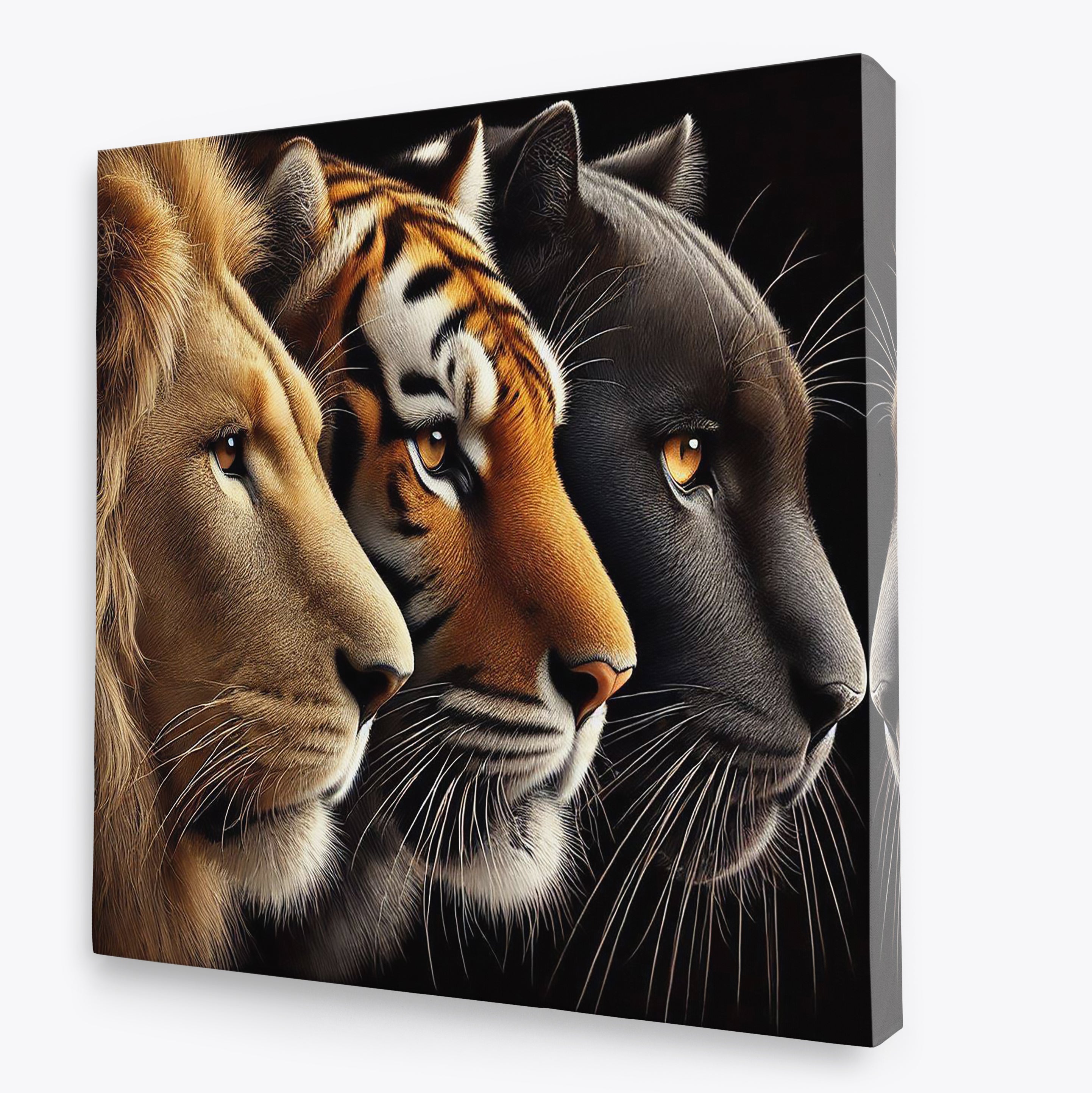 Lion, Tiger, Panther Faces Canvas Print: Big Cat Wall Art