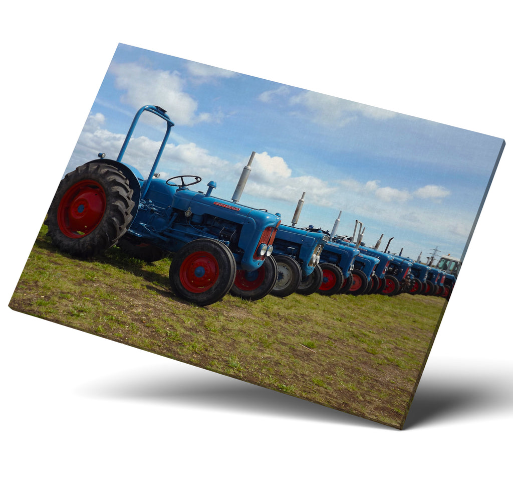 Old Fords Vintage Classic Tractors Wall Art Canvas Print