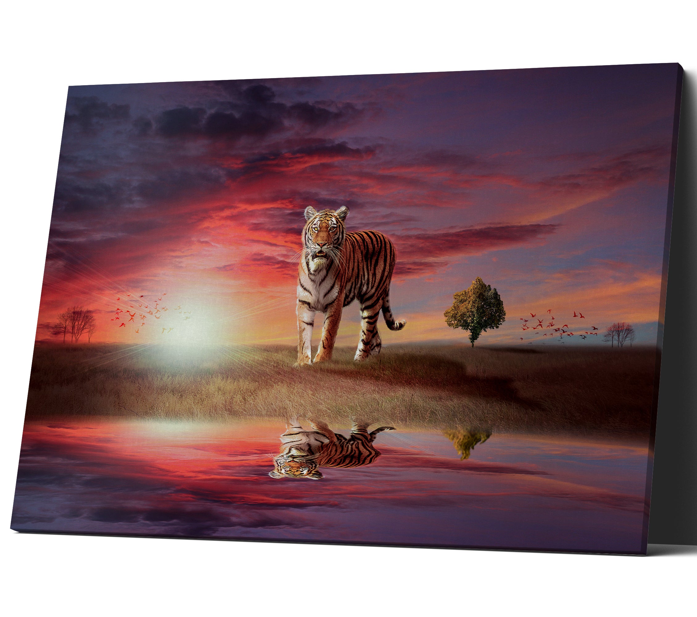 Tiger Big Cat In The Sunset Canvas Print Wall Art
