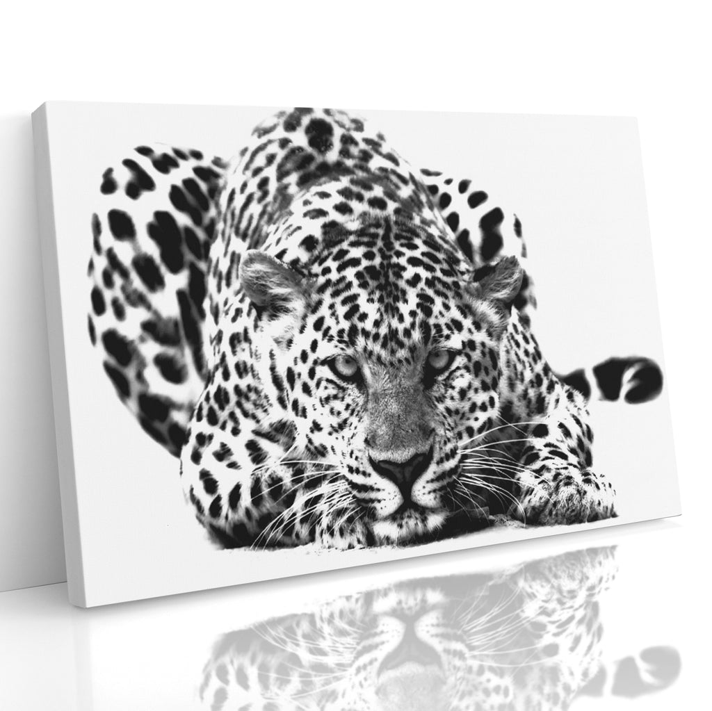 Black and White Big Cat Leopard Wall Art Canvas Print