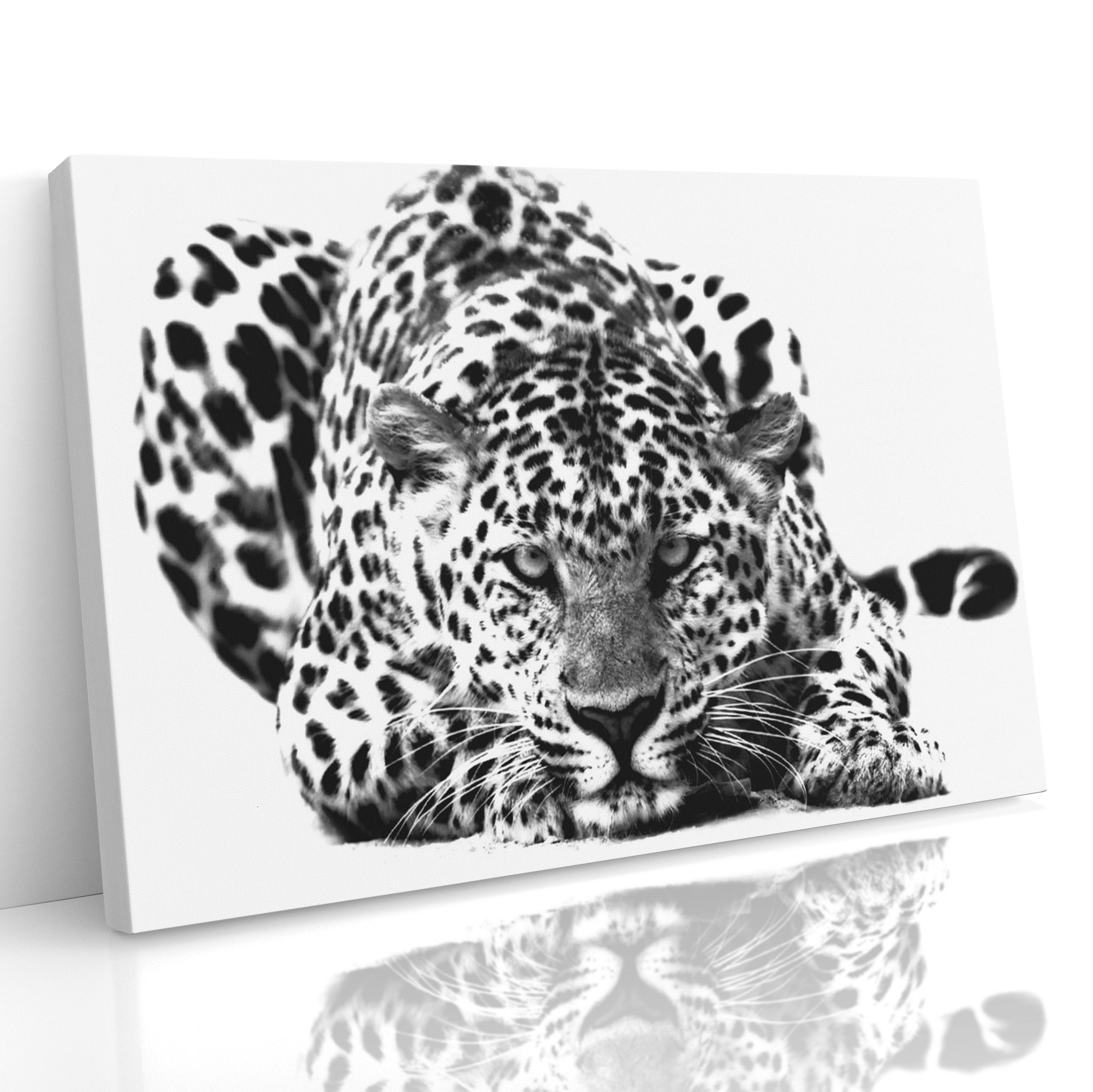 Black and White Big Cat Leopard Wall Art Canvas Print