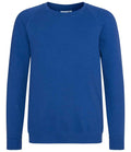 AC001B Deep Royal Front