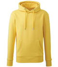AM01 Yellow Front