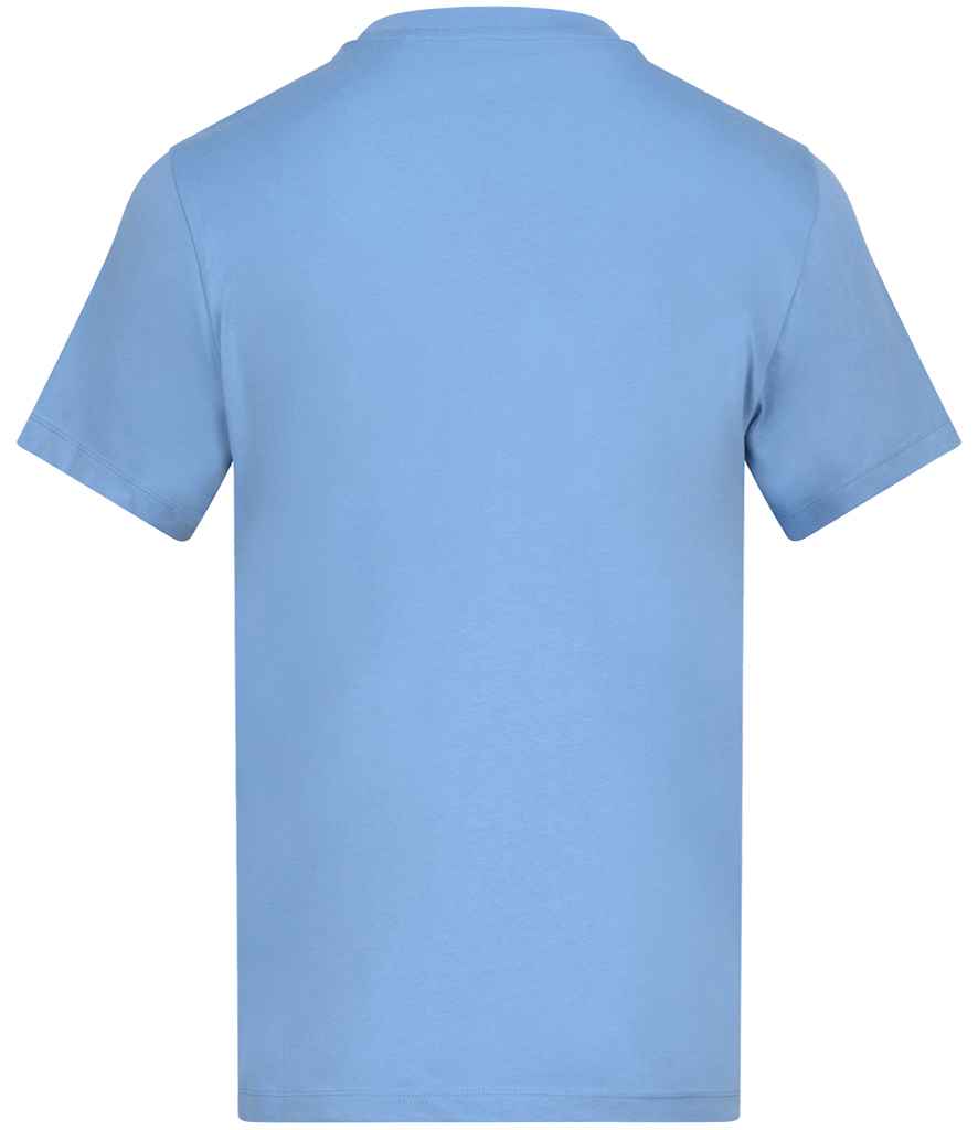 AT001 Cornflower Back