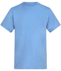 AT002 Cornflower Front