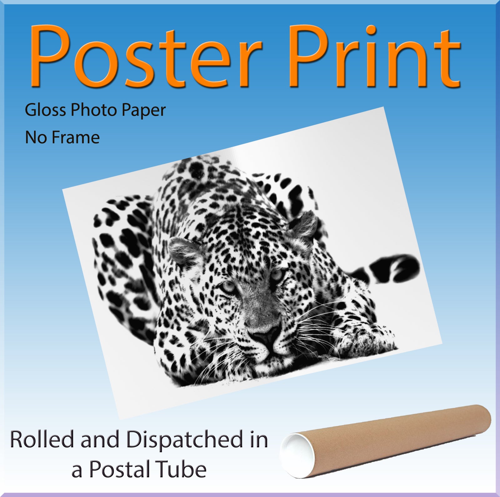 Black and White Big Cat Leopard Wall Art Canvas Print