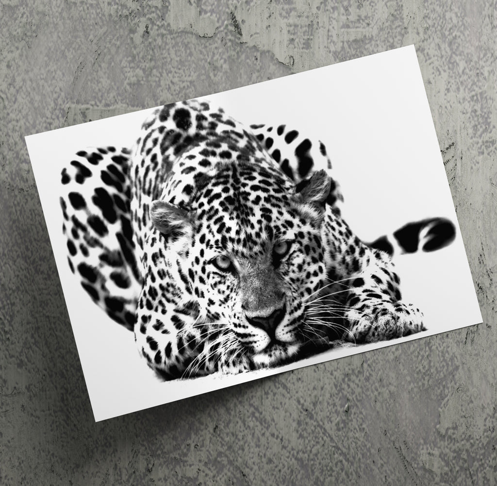 Black and White Big Cat Leopard Wall Art Canvas Print