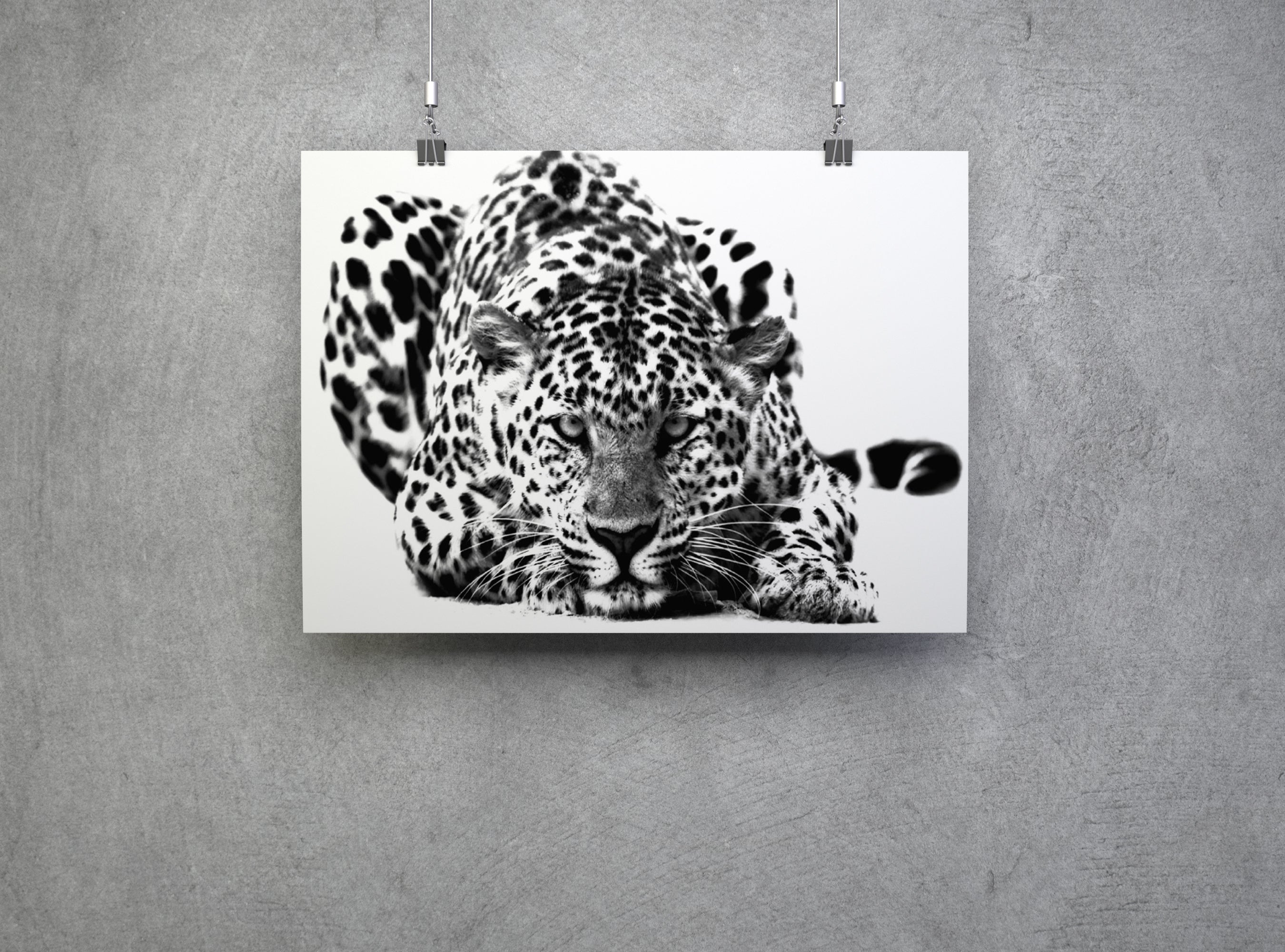 Black and White Big Cat Leopard Wall Art Canvas Print