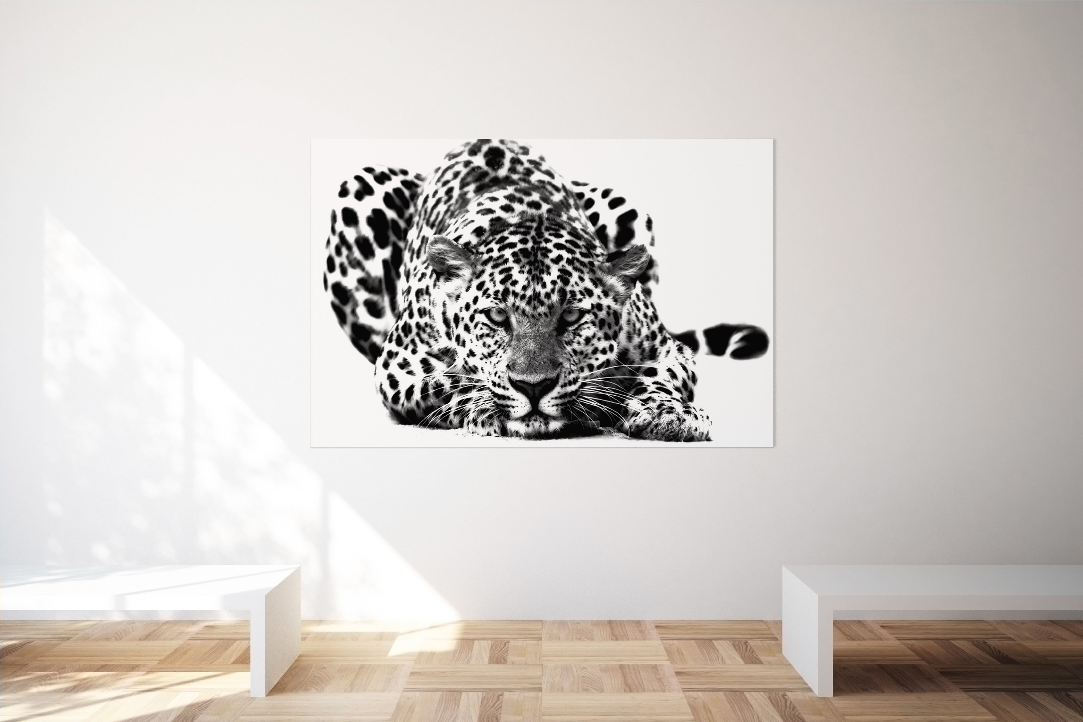 Black and White Big Cat Leopard Wall Art Canvas Print