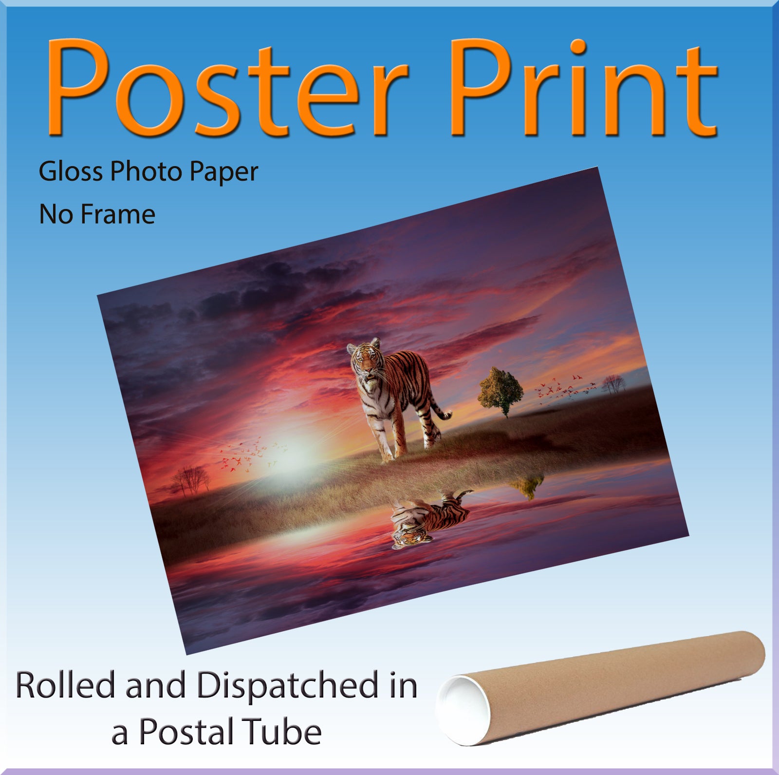 Tiger Big Cat In The Sunset Canvas Print Wall Art