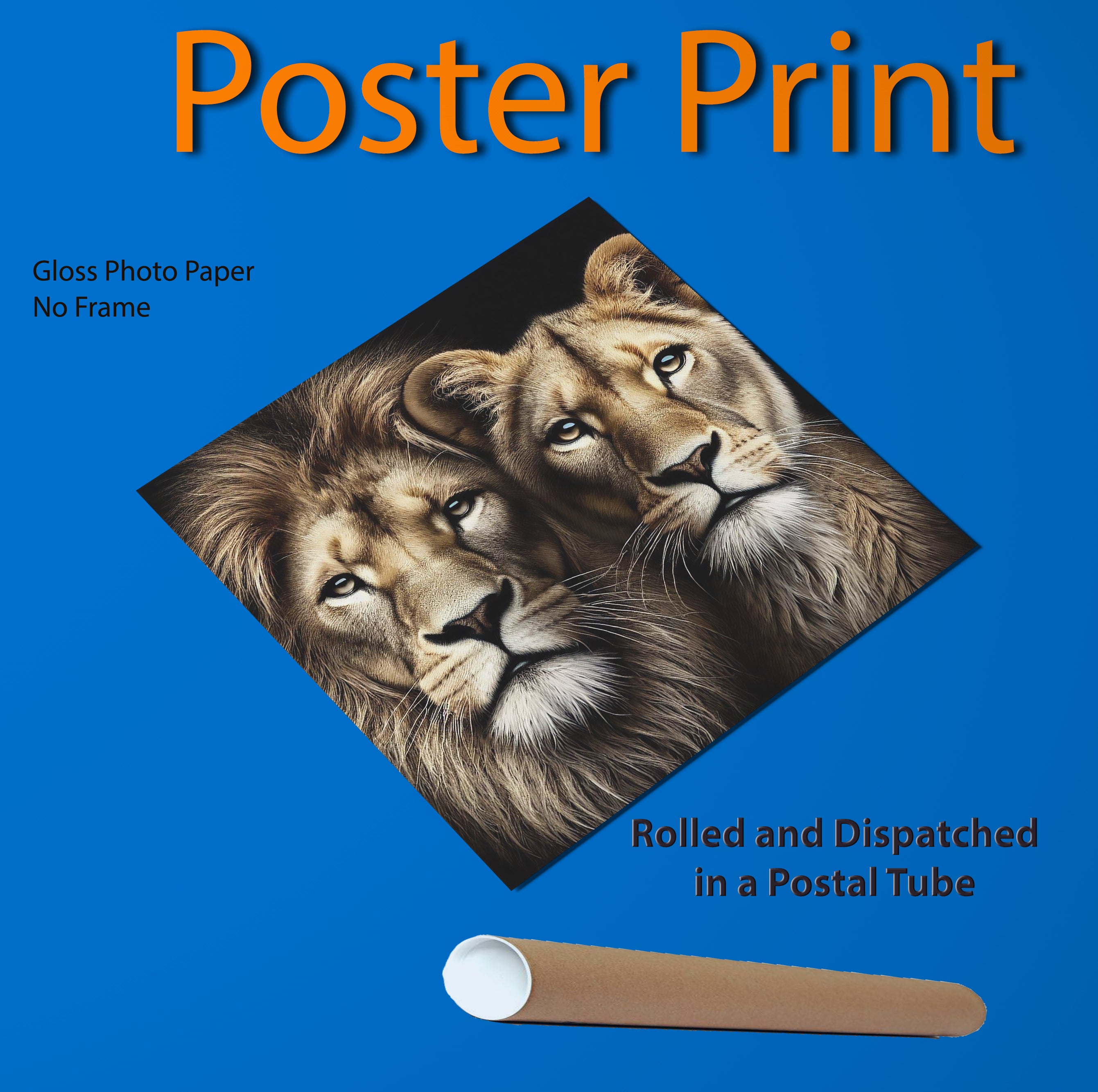 Majestic Lion and Lioness Big Cat Square Canvas Print Wall Art