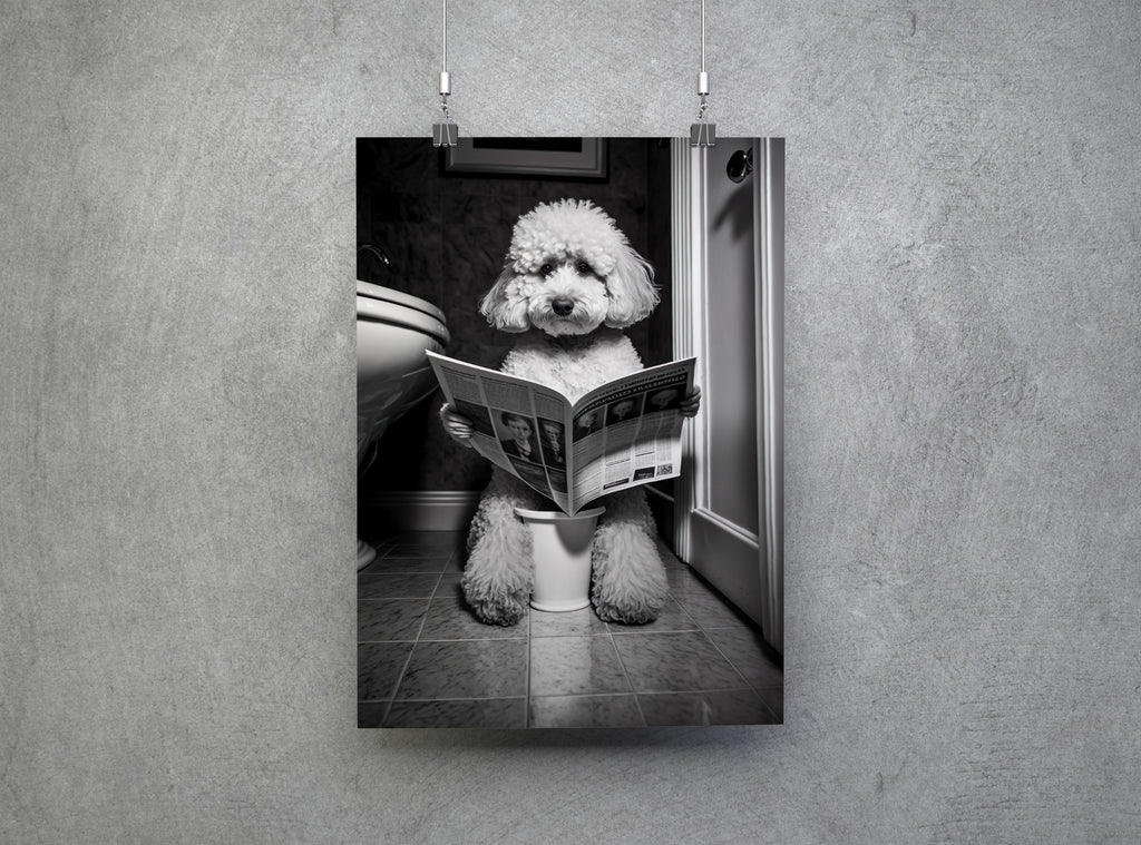 Poodle Dog Reading Newspaper On Toilet Bathroom Wall Art