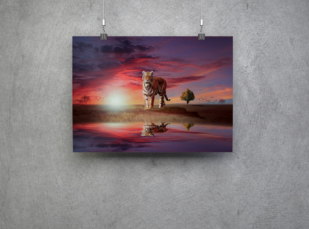 Tiger Big Cat In The Sunset Canvas Print Wall Art