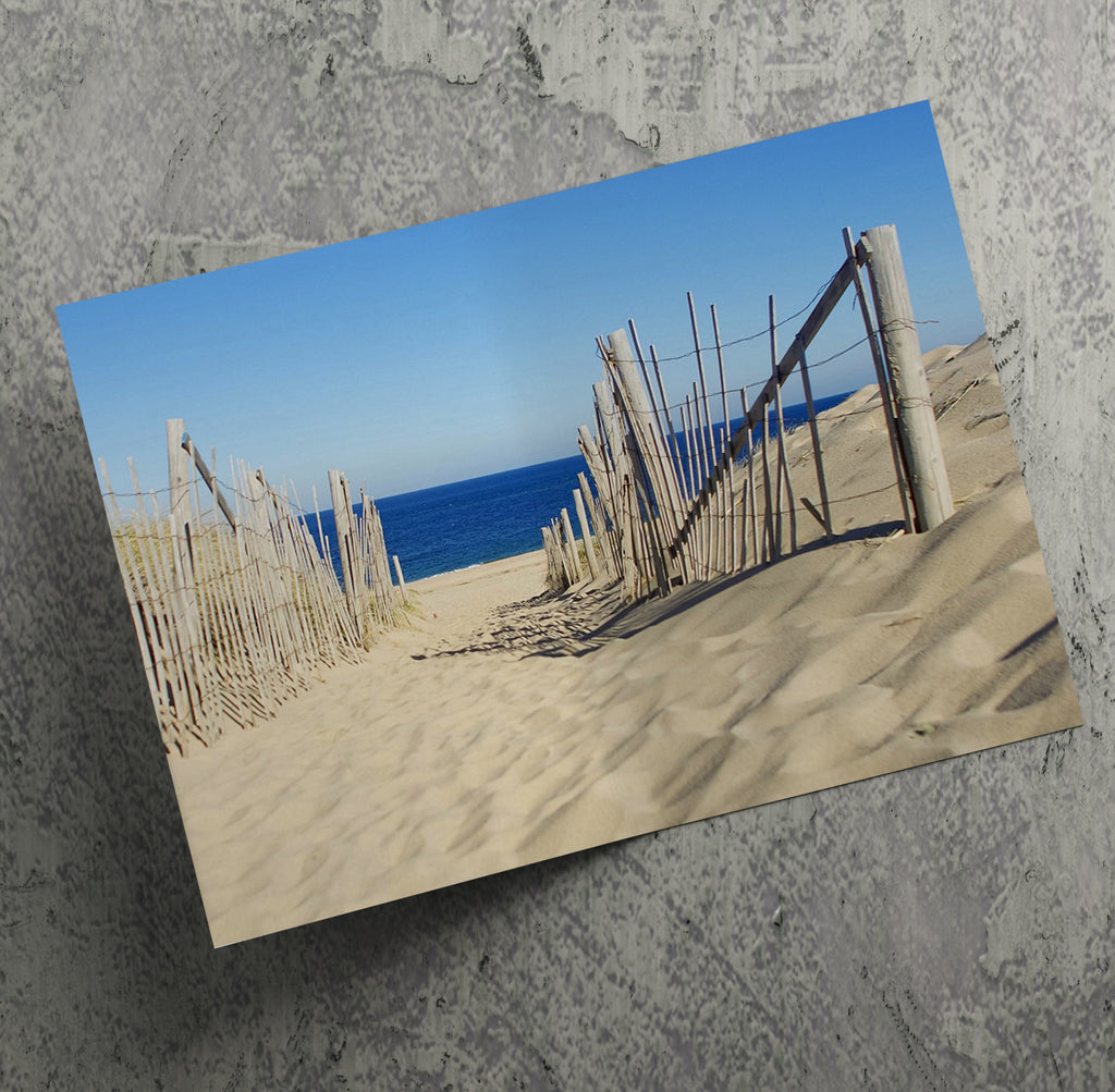 Seascape Beach Sand Dunes Landscape Wall Art