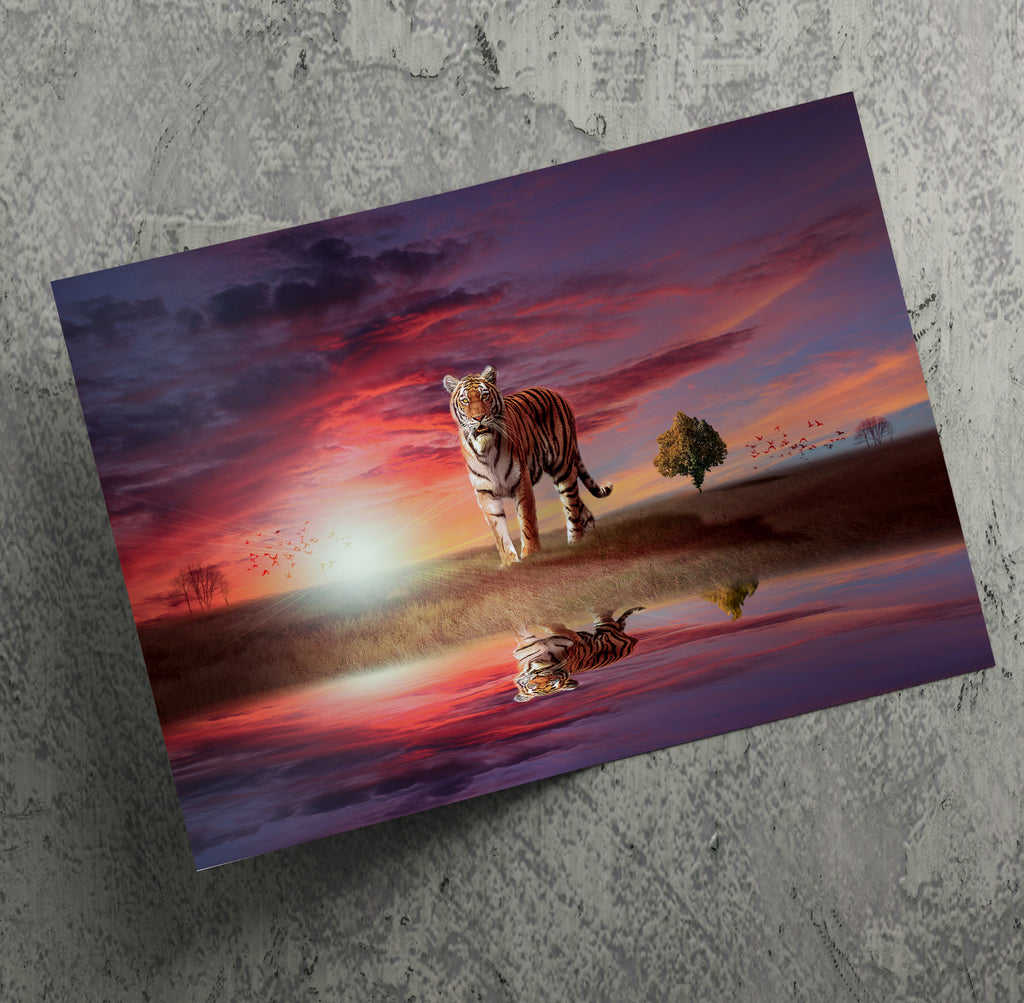 Tiger Big Cat In The Sunset Canvas Print Wall Art
