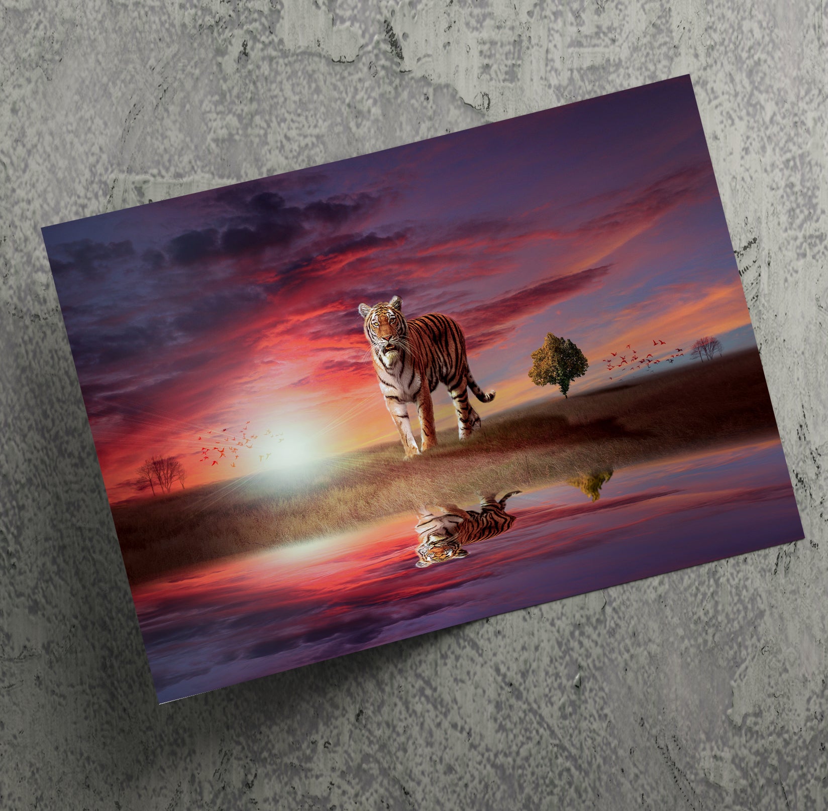 Tiger Big Cat In The Sunset Canvas Print Wall Art