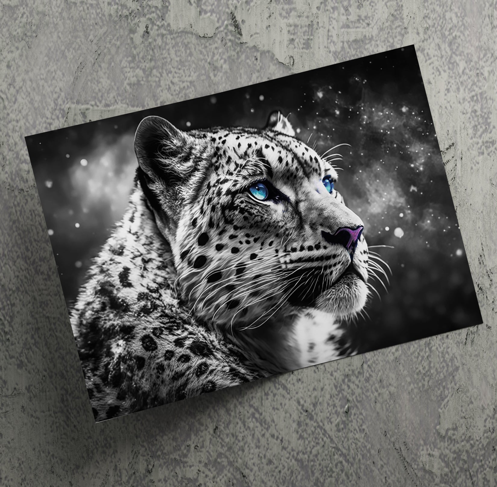 Black and White Big Cat Snow Leopard Face Wall Art Canvas Print