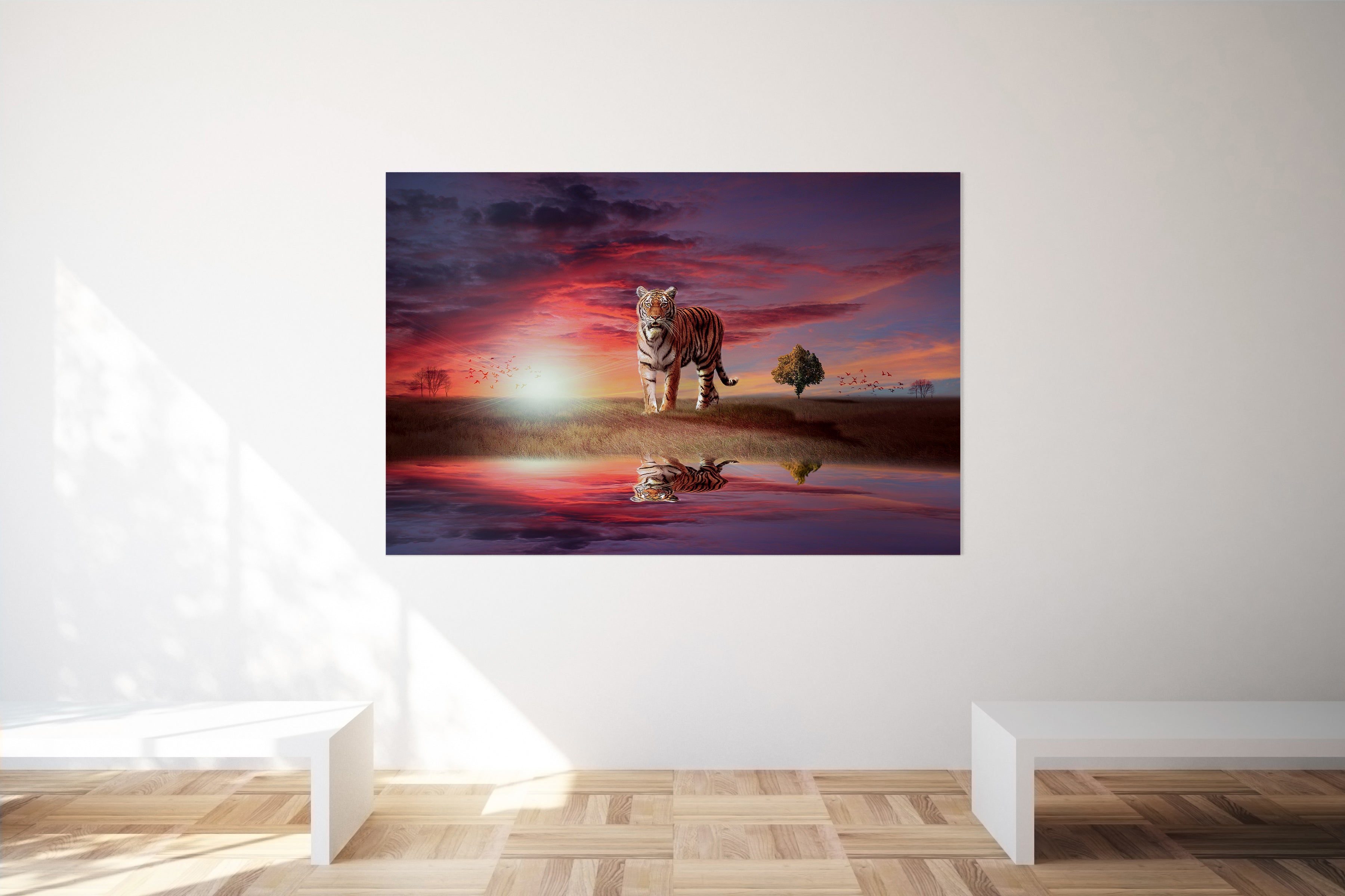Tiger Big Cat In The Sunset Canvas Print Wall Art